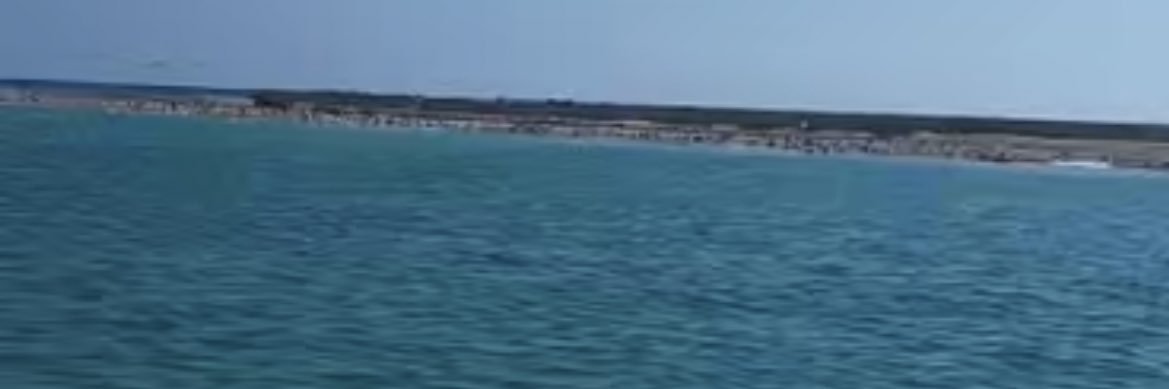 منال عيد banner