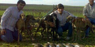 fjpavonfalcon's profile banner image