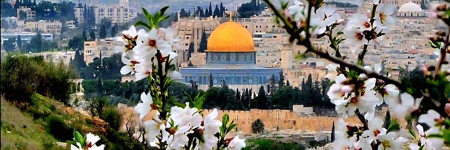 𓂆 Nihad_ak banner