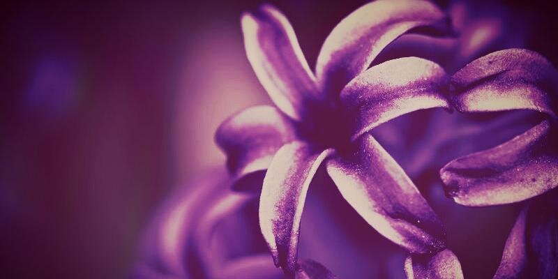 MariaKiczek's profile banner image