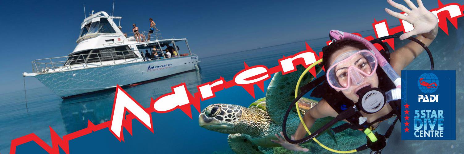 AdrenalinDive's profile banner image