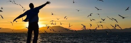 mdazemi's profile banner image