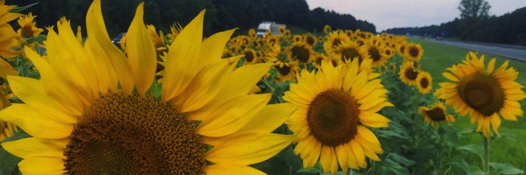 megaan_richh's profile banner image