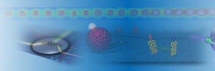 SandoghdarLab banner