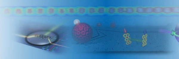 SandoghdarLab Profile Banner