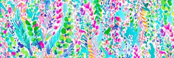 Stephanie Snotherly banner