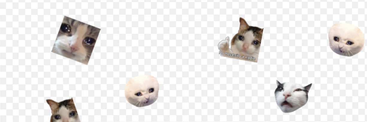 mmmariamu's profile banner image