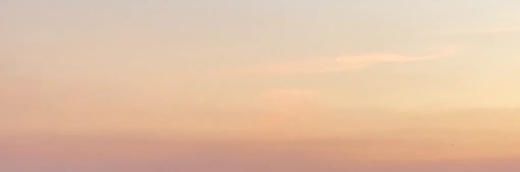fing fing🍧 banner