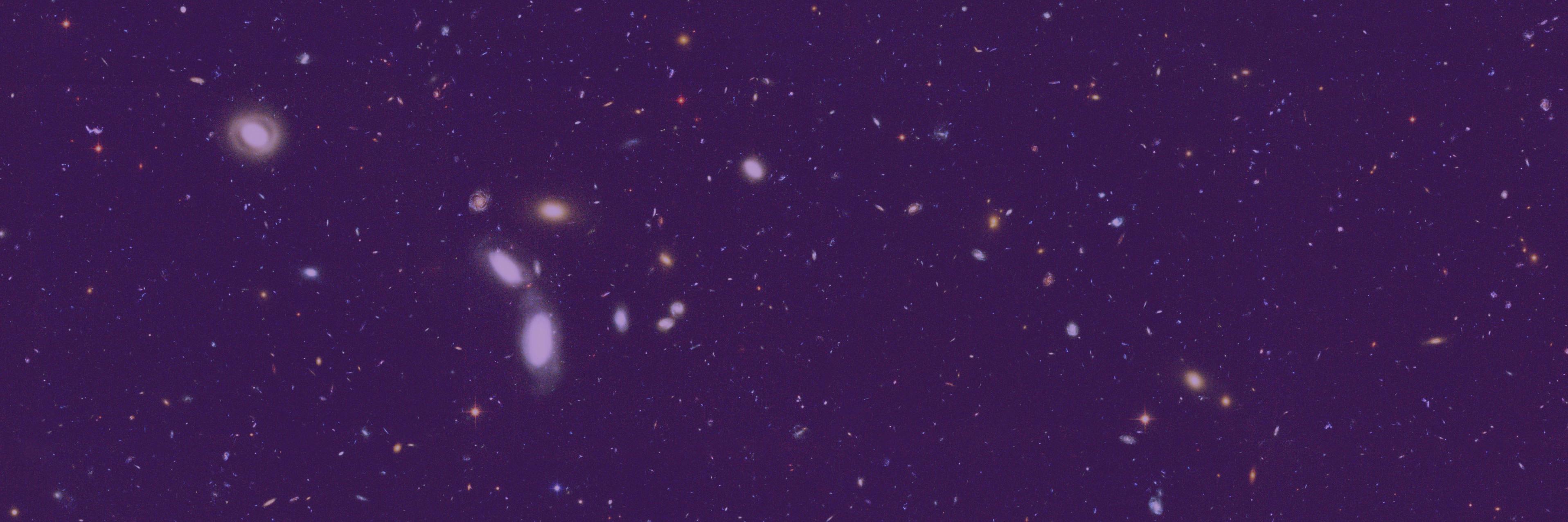 WhatScene's profile banner image
