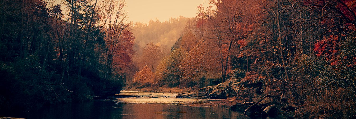 ScienceScafidi's profile banner image