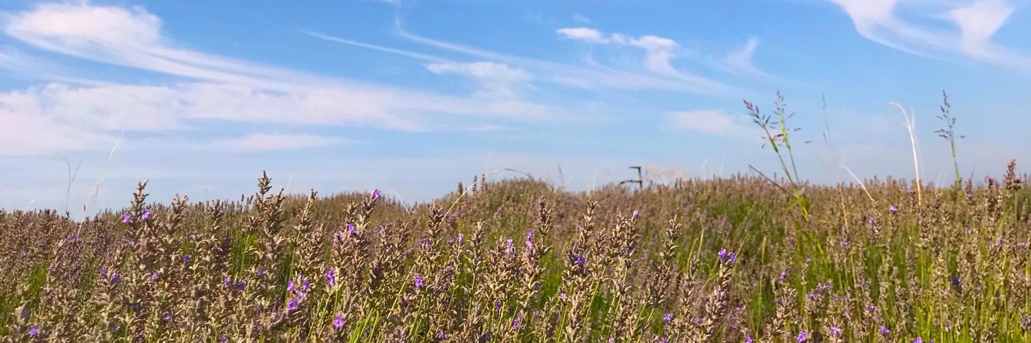 LuciaDeGlee's profile banner image