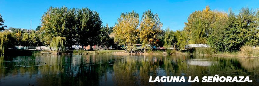 Municipalidad Laja banner