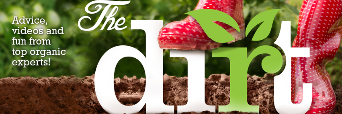 TheDirtMag's profile banner image
