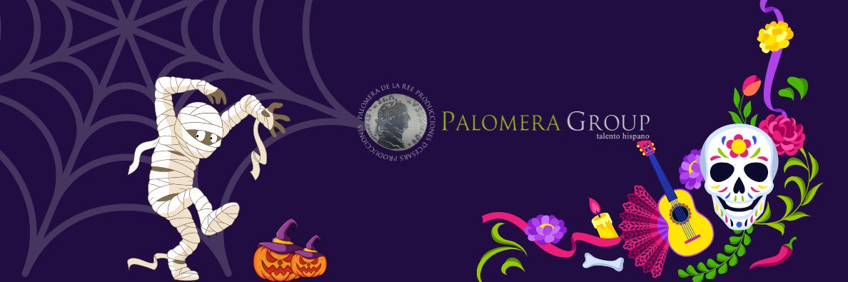 Palomera Group banner
