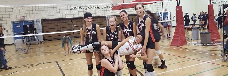 caylyn_coops's profile banner image