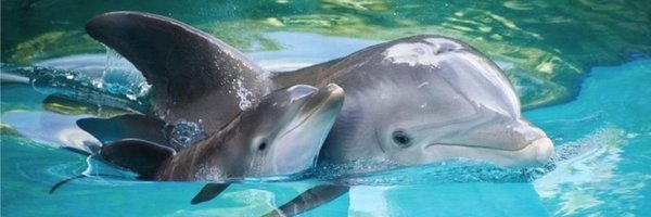 MegumiMatsuda3 Profile Banner