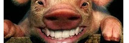 Willum_ banner