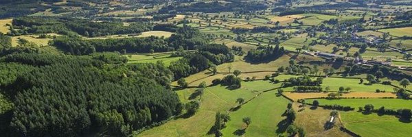 banbourguignon Profile Banner