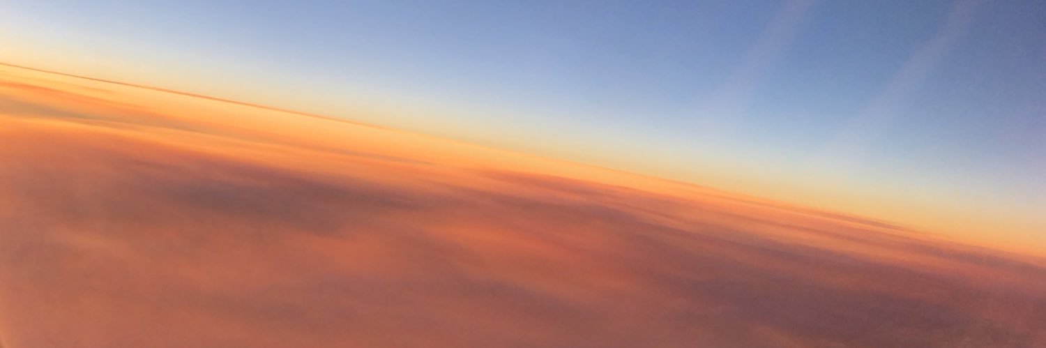 allii_x0's profile banner image