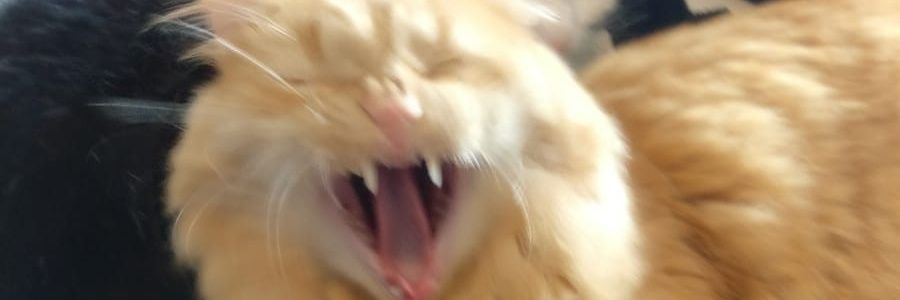 tikru2's profile banner image
