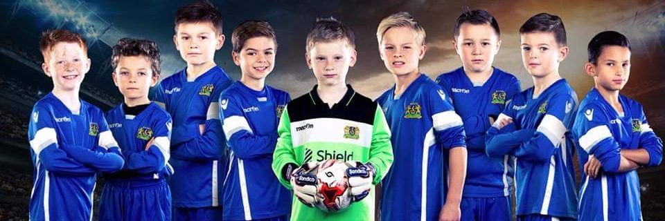 Hertford Town Youth banner