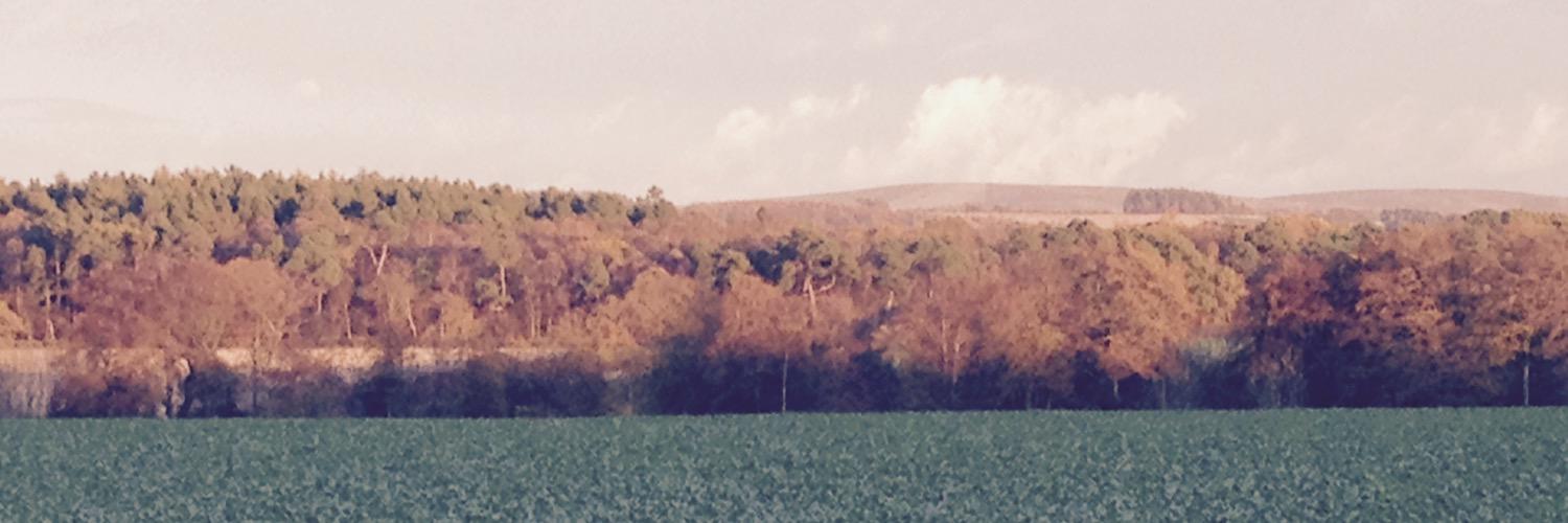 nrcbland's profile banner image