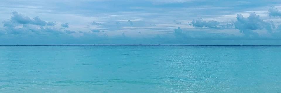 Peppermint Patty banner