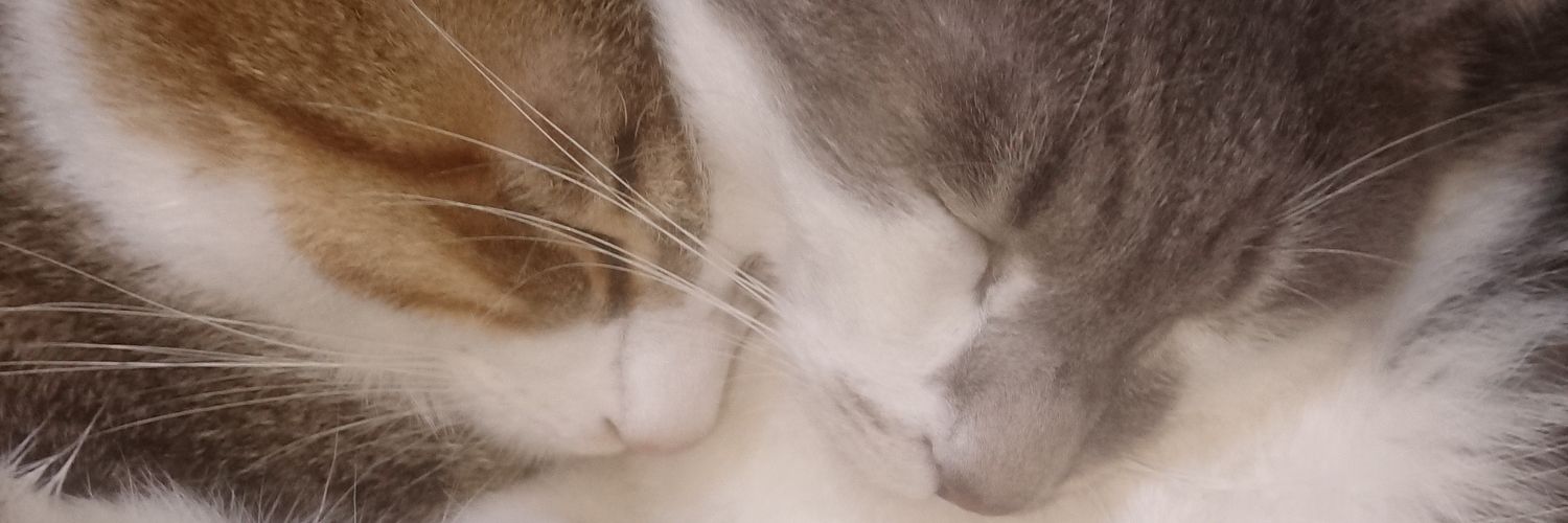 地域のニュースと地震速報 banner