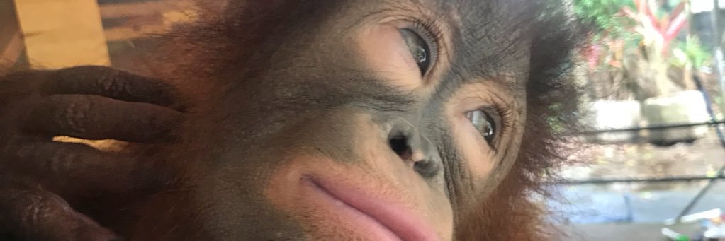 JSorvoja's profile banner image