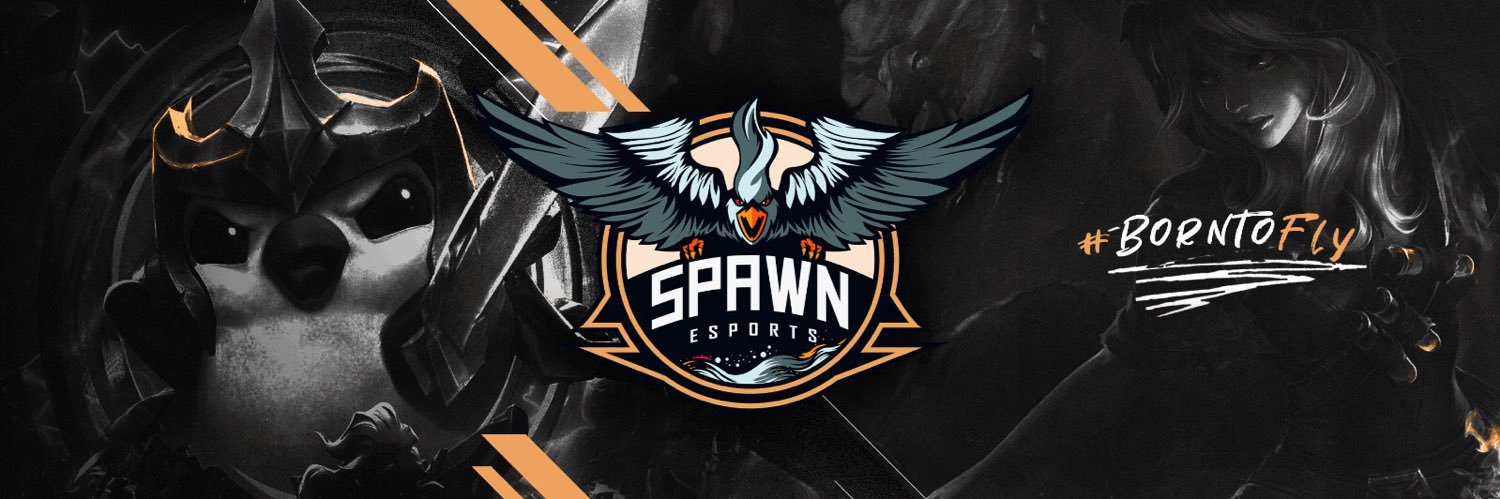 Spawn eSports banner