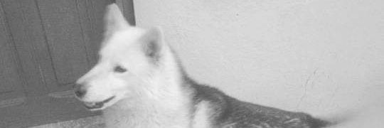 Martinzmex's profile banner image