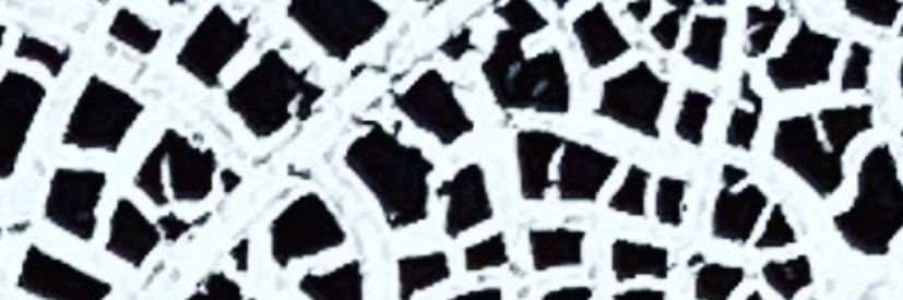 Megan Ringrose banner