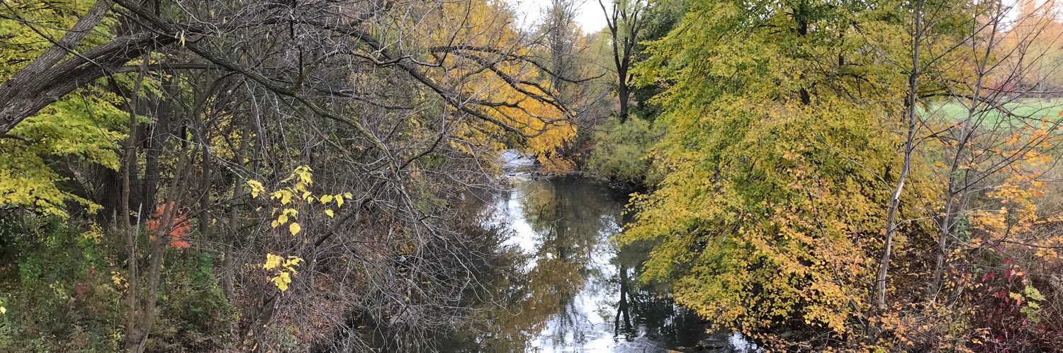 Cristina Fernandes banner