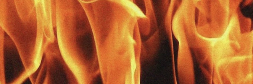 nxtlvlnelson's profile banner image