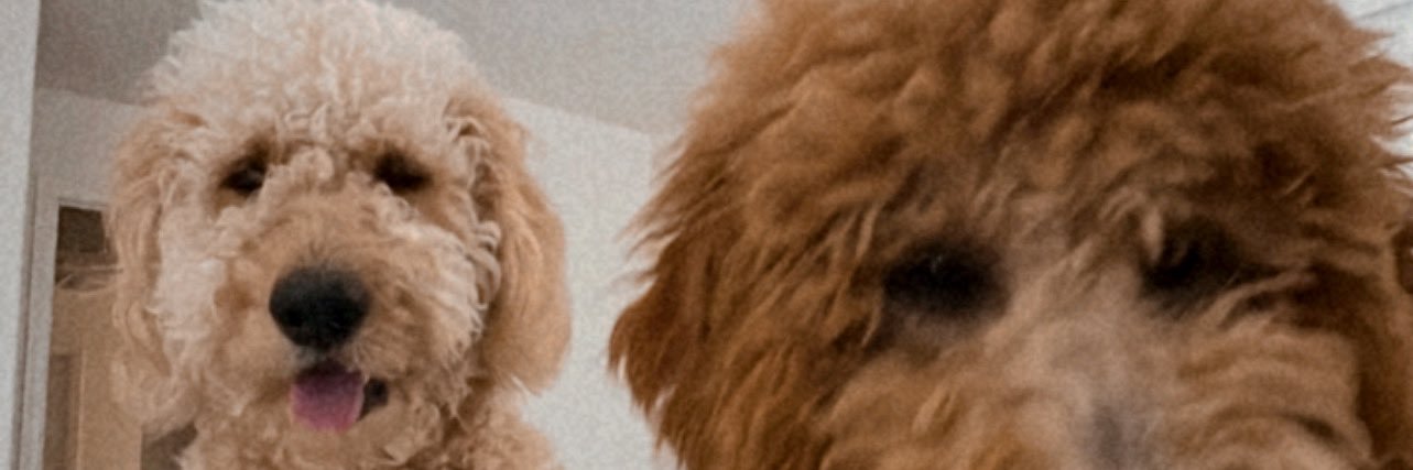 ORTXGAR's profile banner image