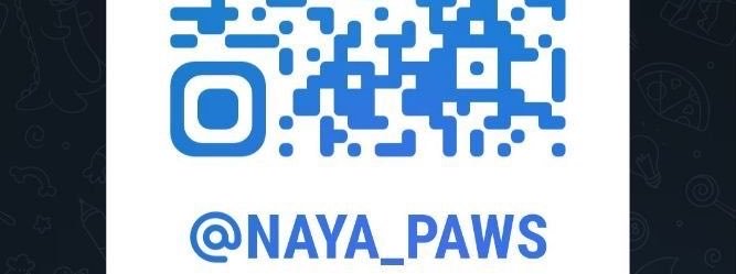 naya_paws2's profile banner image