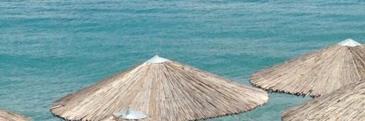 FieldIsabel's profile banner image