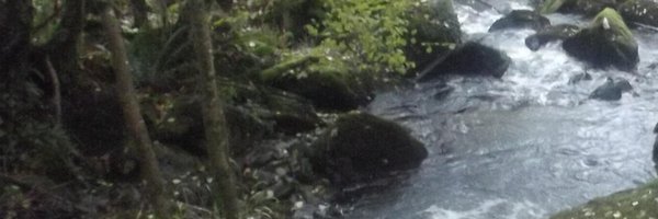 mccloskey Profile Banner