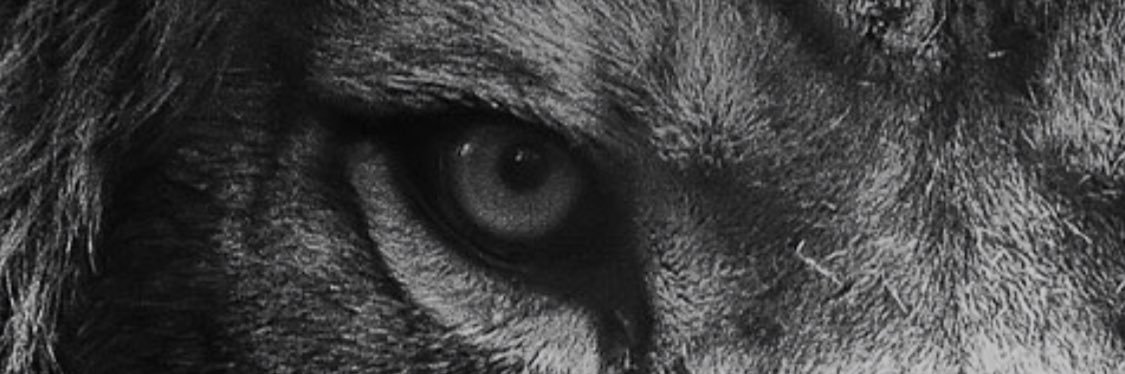 Ams_189's profile banner image