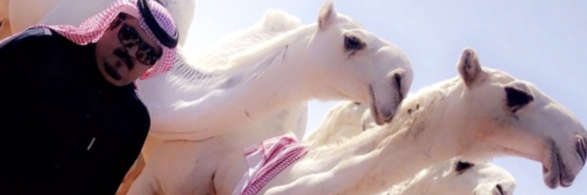 A511sad's profile banner image