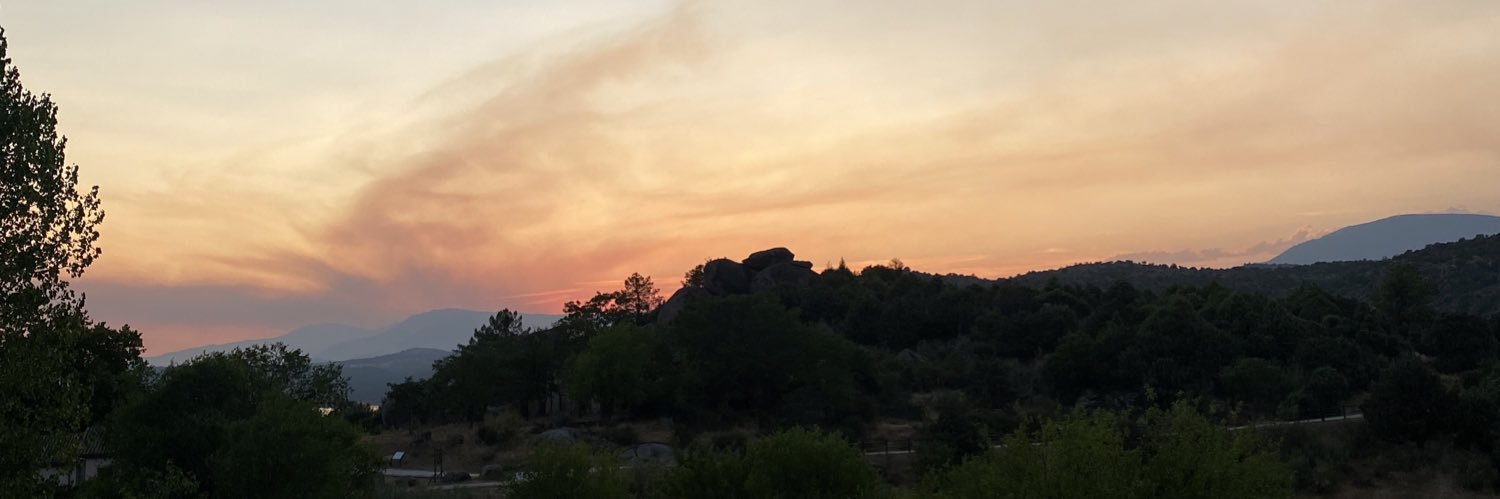 elisamarrtin's profile banner image