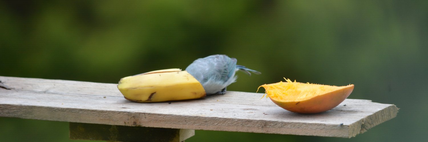 DaniBanan_e's profile banner image