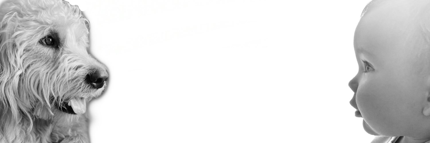 aliharg13's profile banner image