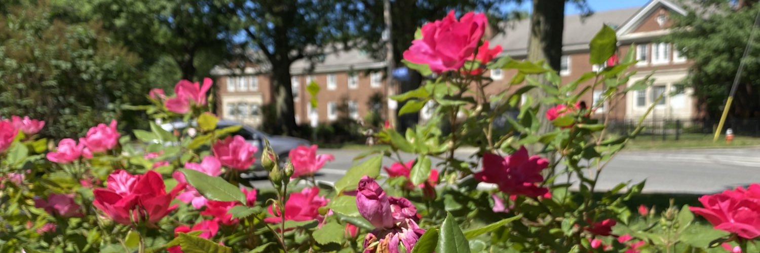 Cindy Mayorga banner