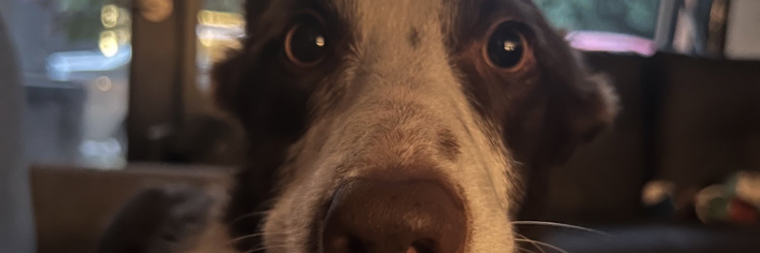 harmlander's profile banner image