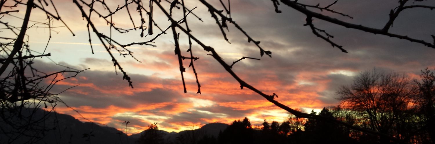 Skyi_'s profile banner image