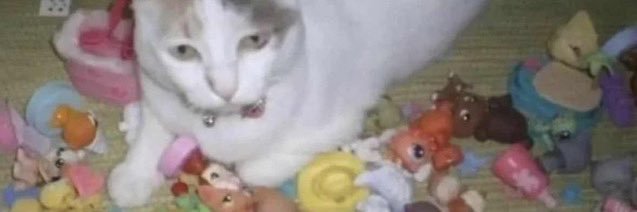 junjiitofan's profile banner image