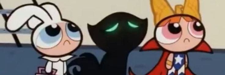 banheiro do Rafy guarda pirocas banner