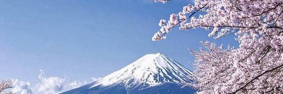 ohanalomi's profile banner image
