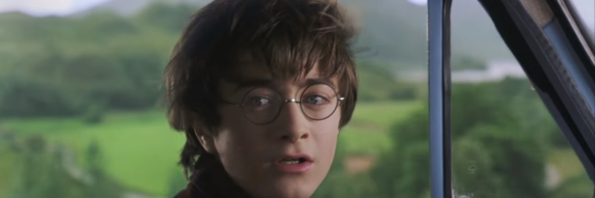 Cecilia Lee-Chadha banner